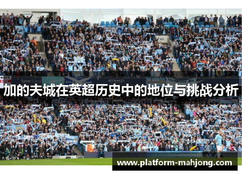 加的夫城在英超历史中的地位与挑战分析