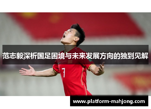 范志毅深析国足困境与未来发展方向的独到见解