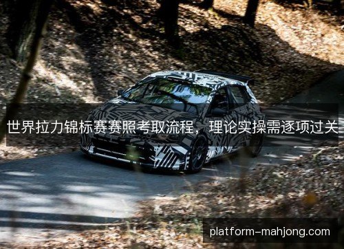 世界拉力锦标赛赛照考取流程,理论实操需逐项过关 世界拉力锦标赛赛照考取流程,理论实操需逐项过关